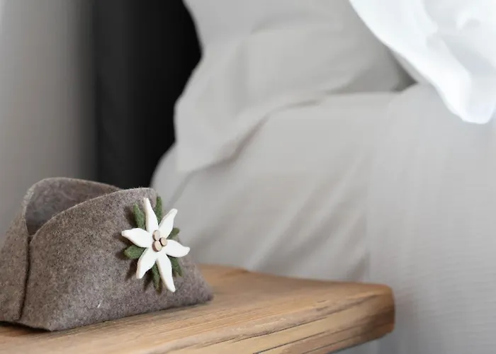 Funivie 24 - Cimino *